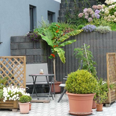 Ferienwohnung Hermann Sankt Aldegund Exterior foto